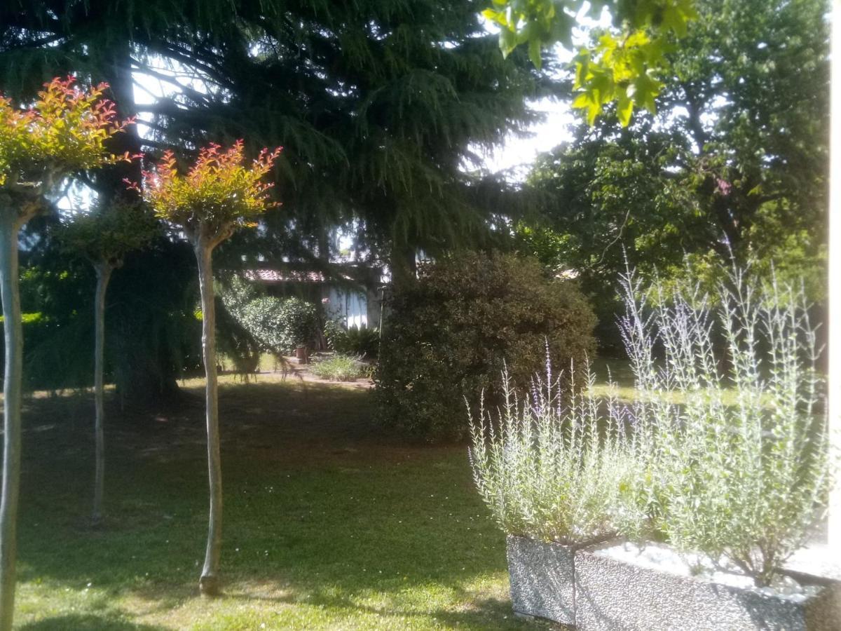 49 Le Contesse Ide Hotel Meolo Luaran gambar